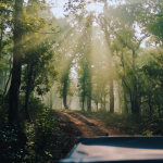 मेनपतला छत्तीसगडचा ‘शिमला’ का म्हणतात आणि उल्टा पानीने गुरुत्वाकर्षणाला कसे फसवले