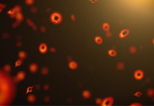 प्रवेश नाकारला