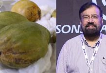 कोहितूर आंबा: दुर्मिळ आणि महागडे भारतीय फळ जे अब्जाधीश हर्ष गोएंका म्हणतात की ते “परवडत नाही”