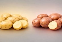 चंद्रमुखी वि ज्योती बटाटे: पोत, चव, किंमत आणि सर्वोत्तम उपयोग जे तुमचा बंगाली स्वयंपाक पूर्णपणे बदलू शकतात |