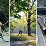 डॅनिश राजधानी मानवतेसाठी का तयार केली गेली आहे