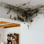 तुम्ही तुमच्या छताच्या कोपऱ्यांकडे दुर्लक्ष करत आहात का? हे सोपे निराकरण करून पहा