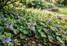 क्रिपिंग चार्लीला मारण्याचे विज्ञान: प्रत्यक्षात काय कार्य करते