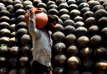 महाराष्ट्राच्या काही भागांमध्ये, 46-47° सेल्सिअस उष्णतेमुळे भाजीपाला पिकांचे नुकसान होते; शेतकऱ्यांना उत्पादन नुकसान, भाव वाढण्याची भीती