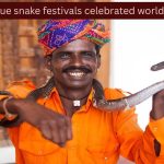 पायथन फेस्टिव्हल ते नागपंचमीपर्यंत; जगभरात साजरे होणारे 7 अनोखे सर्प उत्सव आणि प्रवाशांना काय माहित असणे आवश्यक आहे