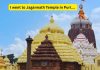 मी पुरीच्या जगन्नाथ मंदिरात गेलो आणि मला जे सापडले ते देव किंवा अध्यात्म नव्हते तर……