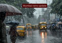 मुंबई पाऊस अपडेट: आयएमडीने ऑरेंज अलर्ट जारी केला, उड्डाणे आणि रेल्वे सेवांना फटका; प्रवाशांनी काय अपेक्षा करावी ते येथे आहे