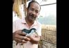भरत बोराह: आसामच्या ‘हॉर्नबिल व्हिलेज’मधील भरत बोराह यांना भेटा, जो 30 वर्षांपासून जखमी पक्षी आणि प्राण्यांना कृत्रिम पाय तयार करून वाचवत आहे; त्याचे घर आता अनधिकृत बचाव केंद्र आहे