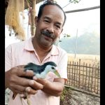 भरत बोराह: आसामच्या ‘हॉर्नबिल व्हिलेज’मधील भरत बोराह यांना भेटा, जो 30 वर्षांपासून जखमी पक्षी आणि प्राण्यांना कृत्रिम पाय तयार करून वाचवत आहे; त्याचे घर आता अनधिकृत बचाव केंद्र आहे